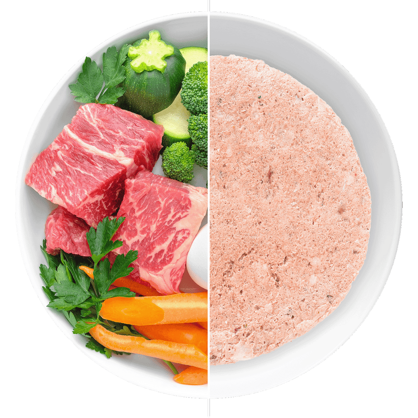 Mighty Raw Dog Food – ANSWERS Pet Food